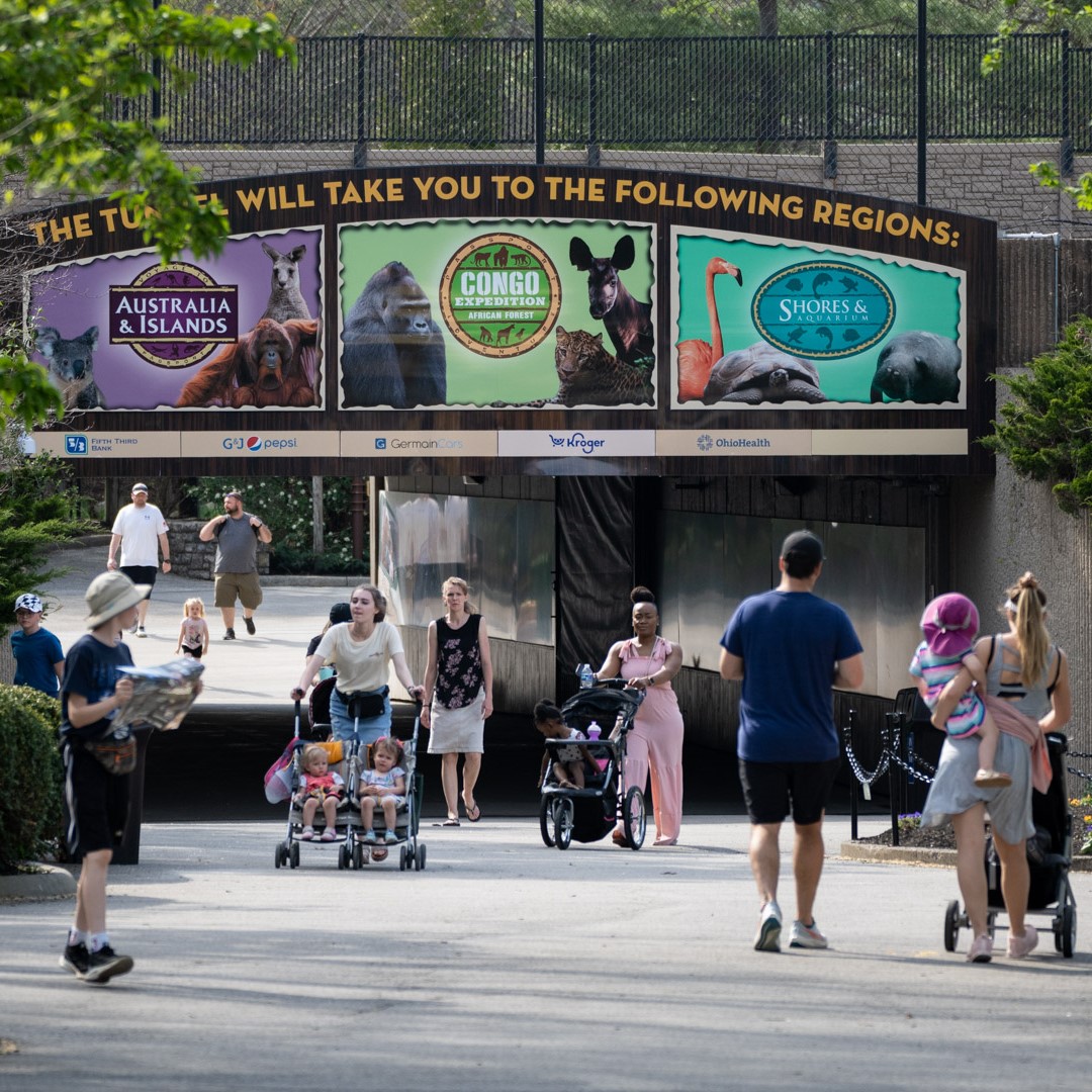 walking at the zoo