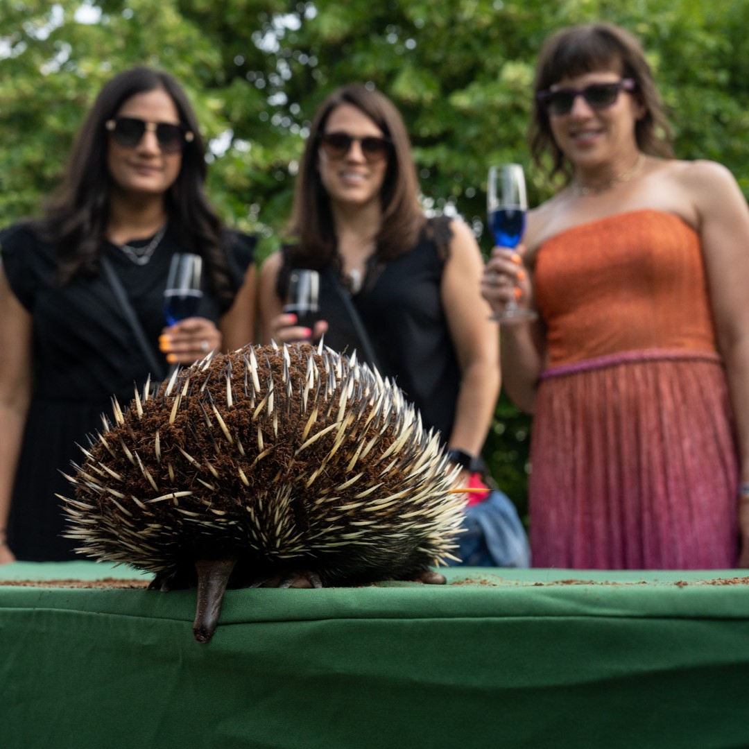 event guests at zoo
