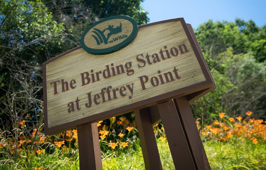 Birding station sign