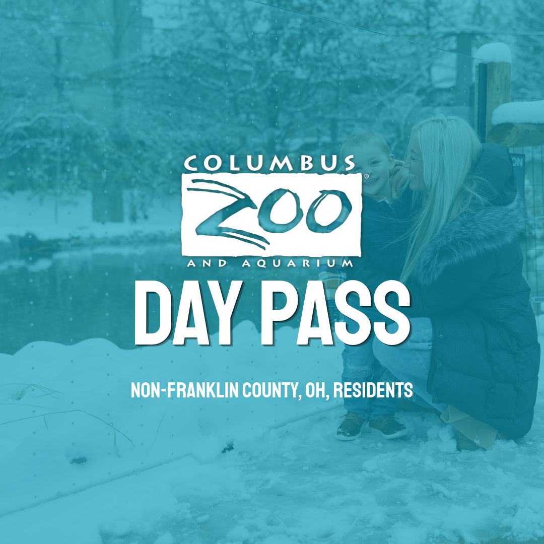 zoo graphic