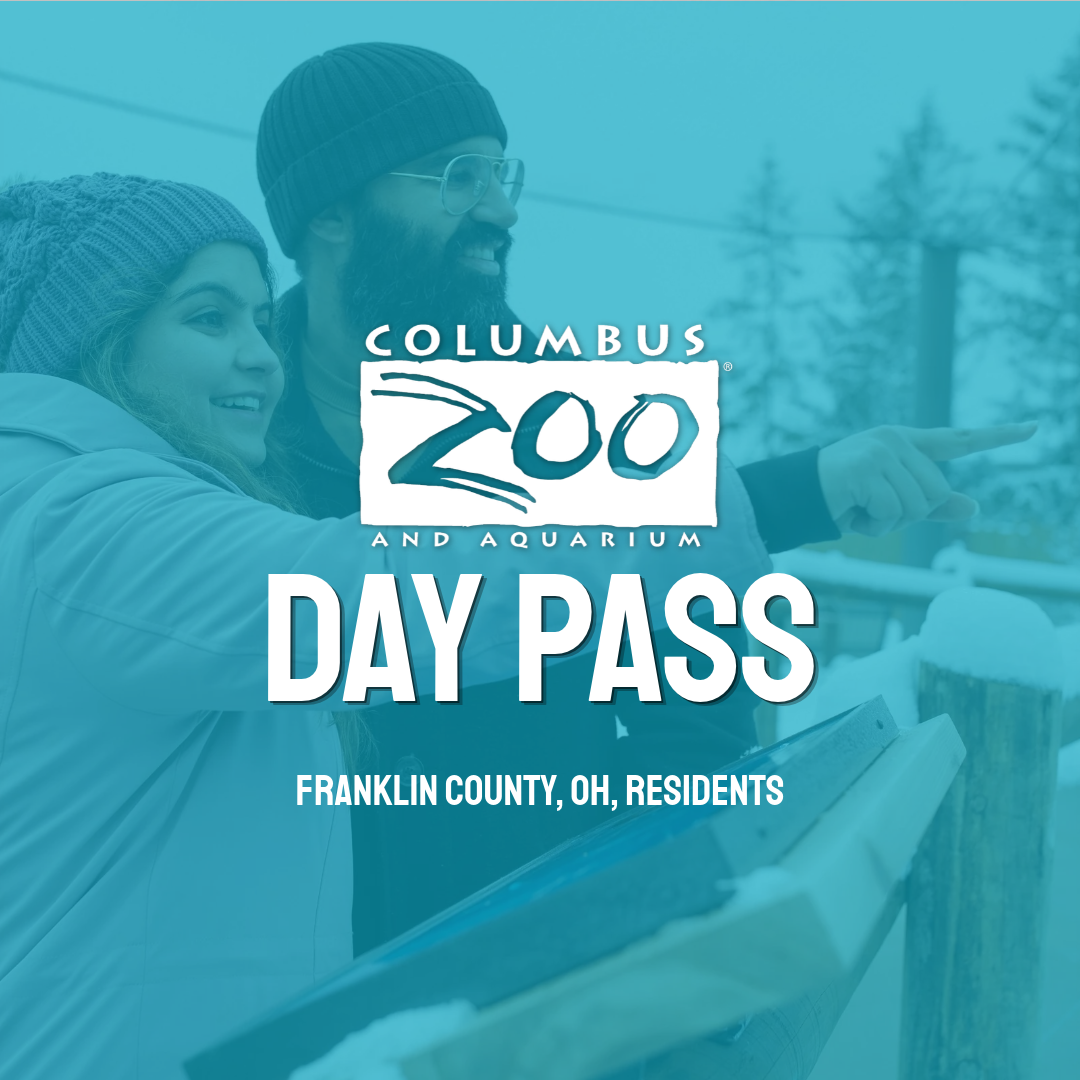 zoo graphic