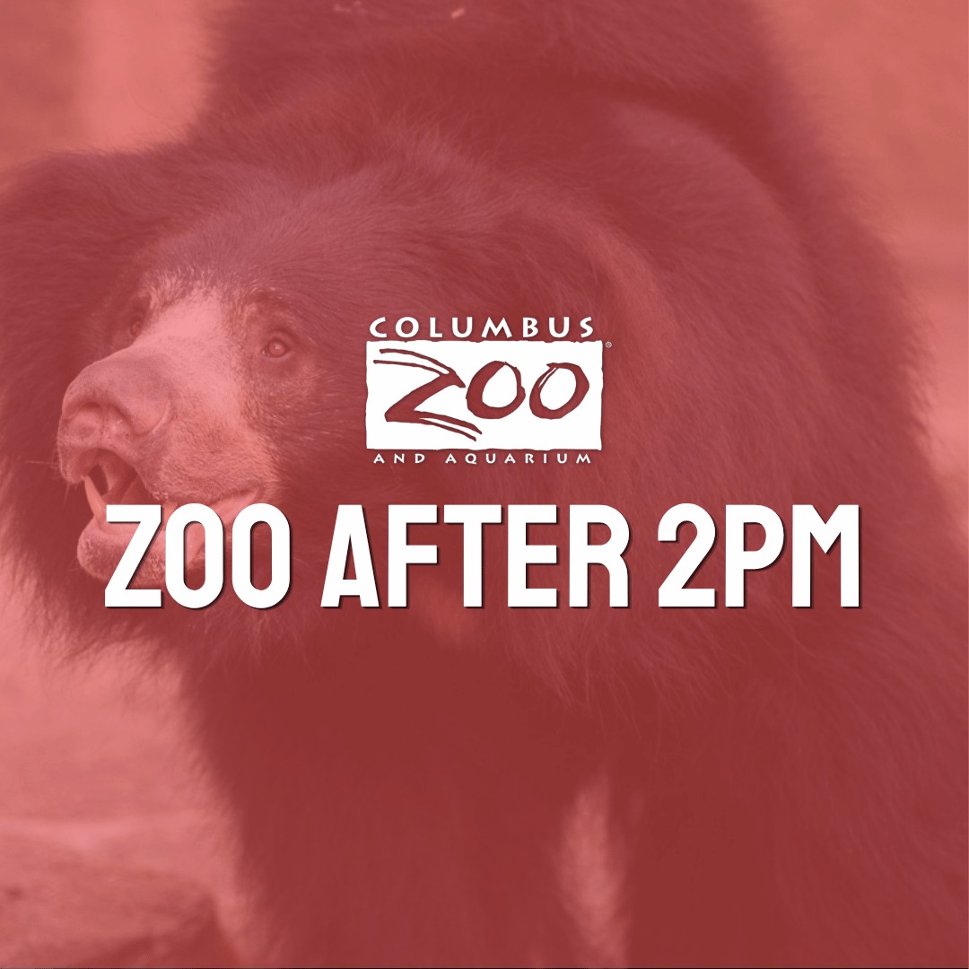 Zoo after 2 graphic