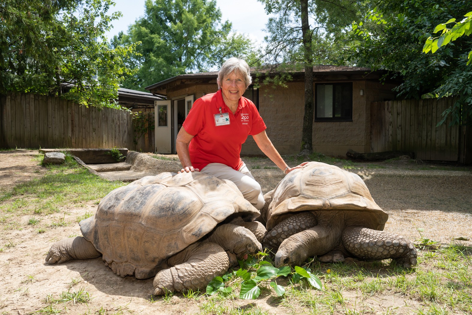 Docent posing with two turtles