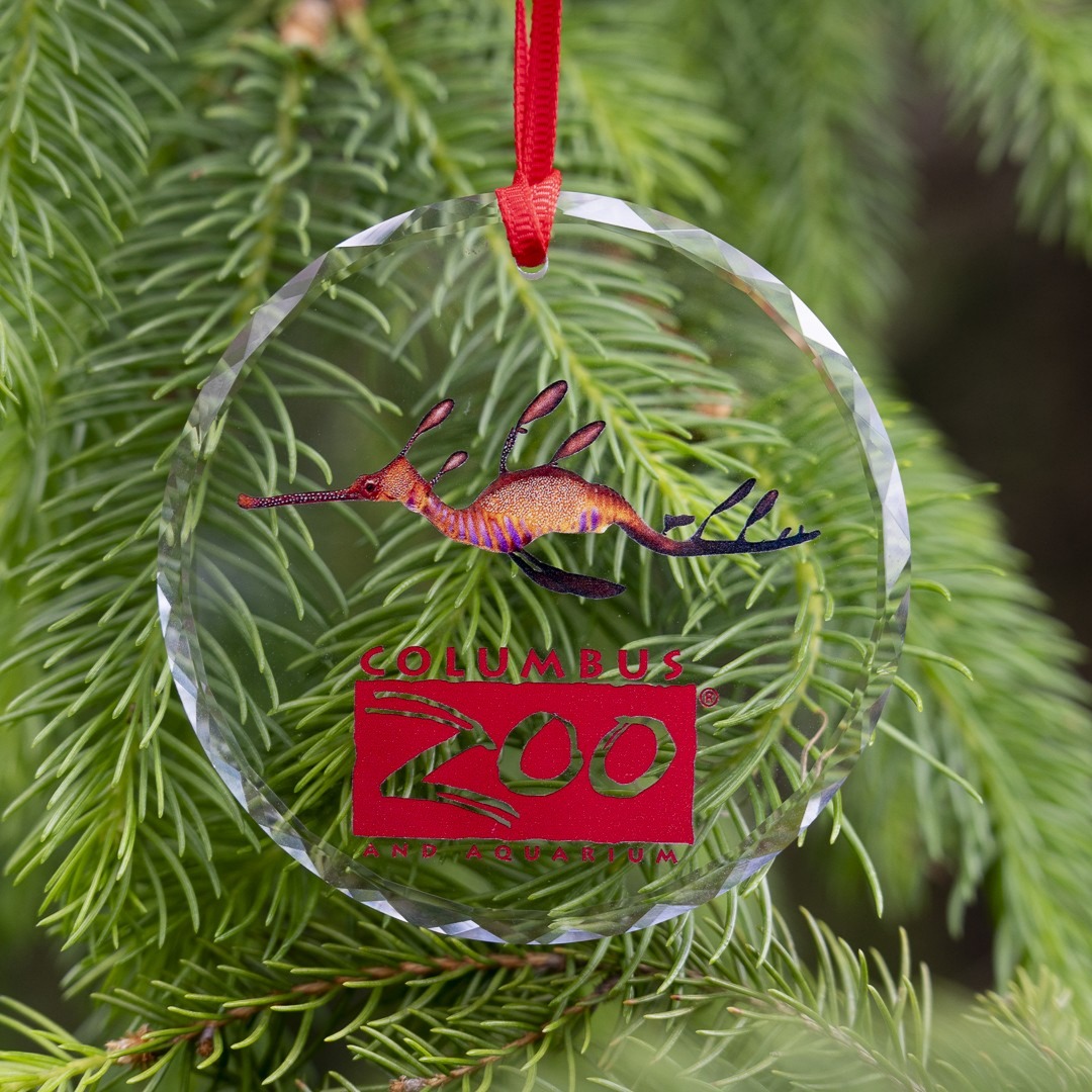 sea dragon ornament