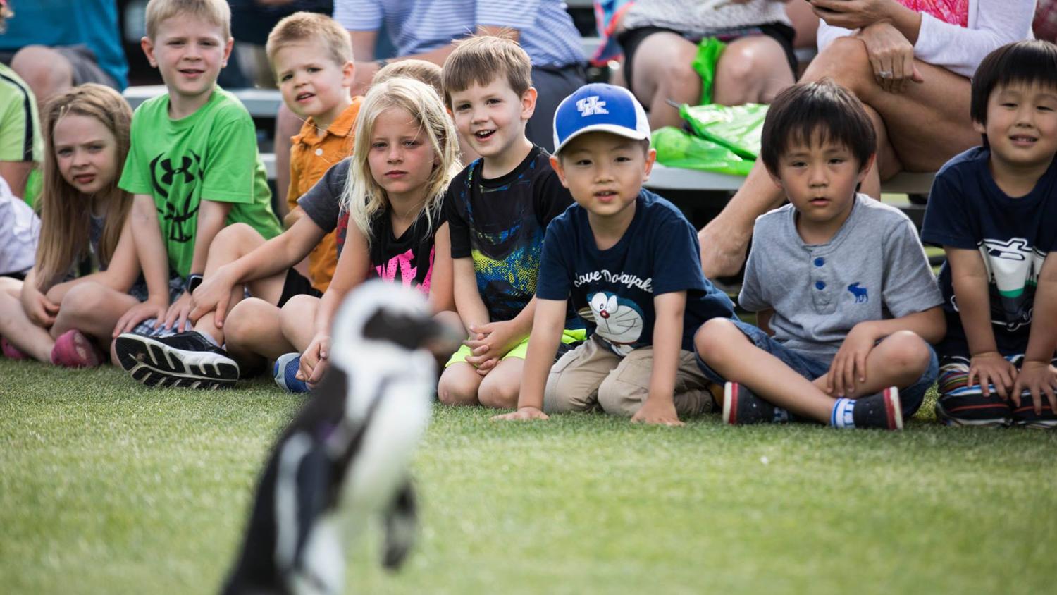 children watching animals