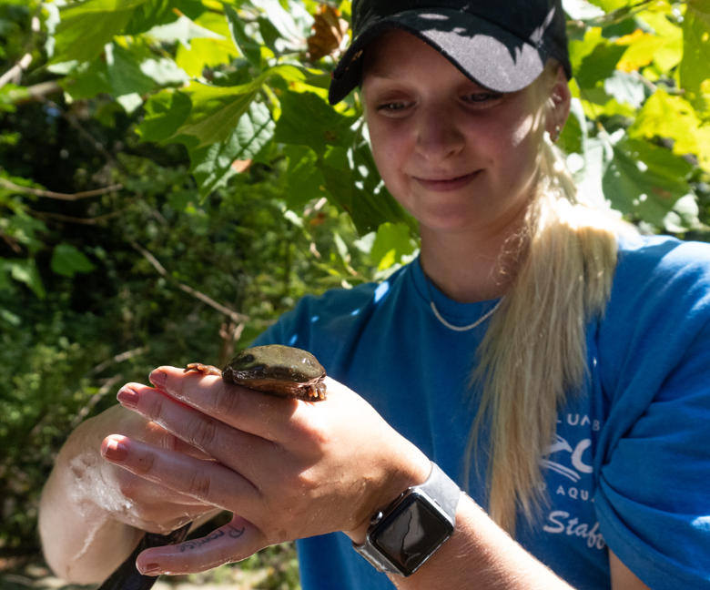 Staff member holding a hellbender