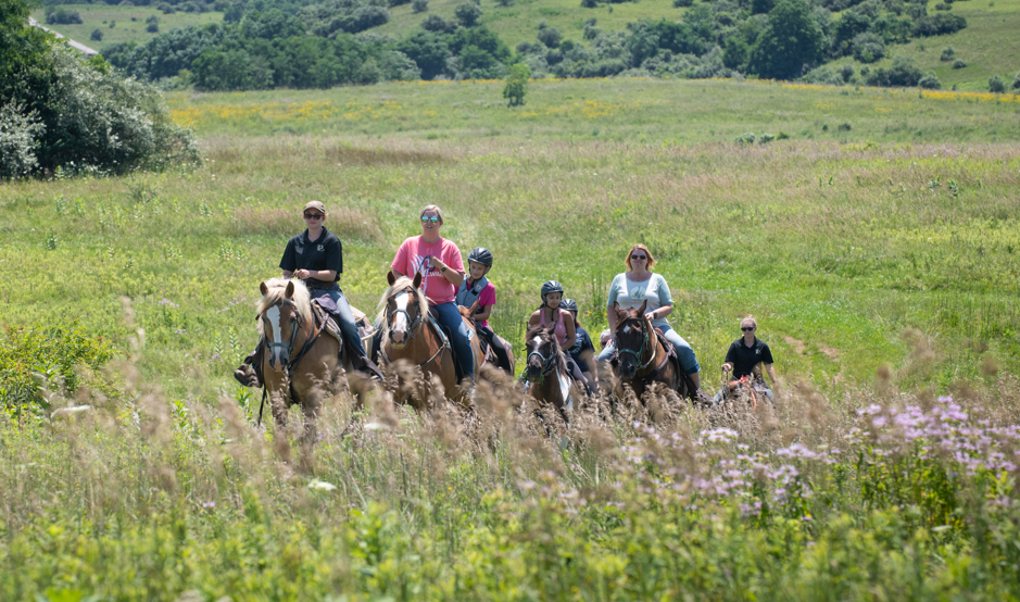 Horseback riding in field