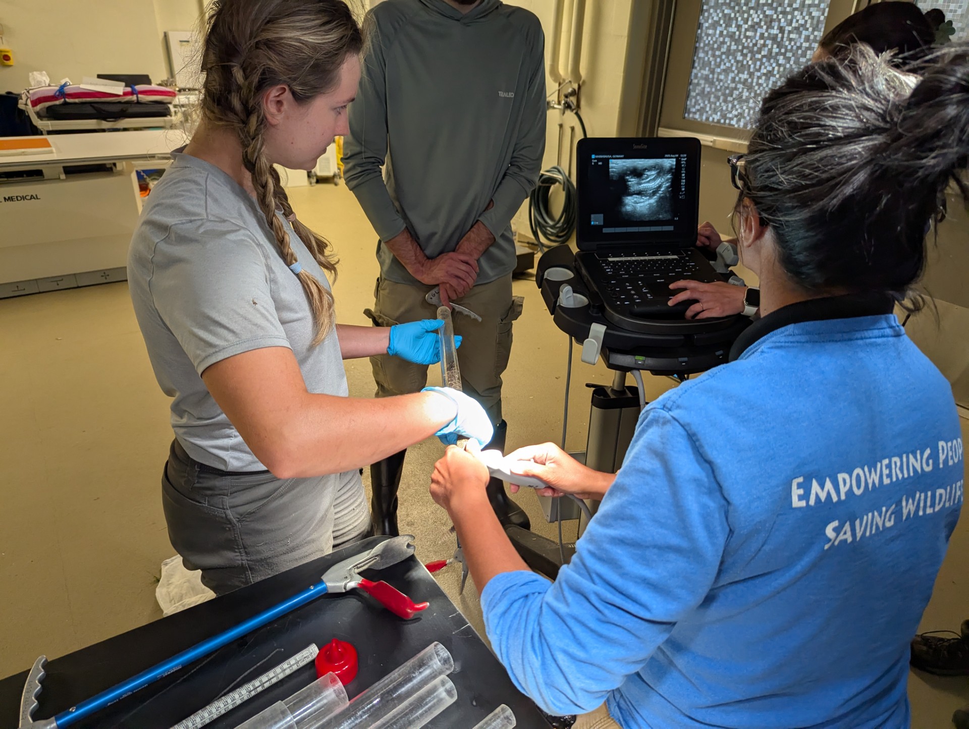 zoo staff look at ultrasound of snake