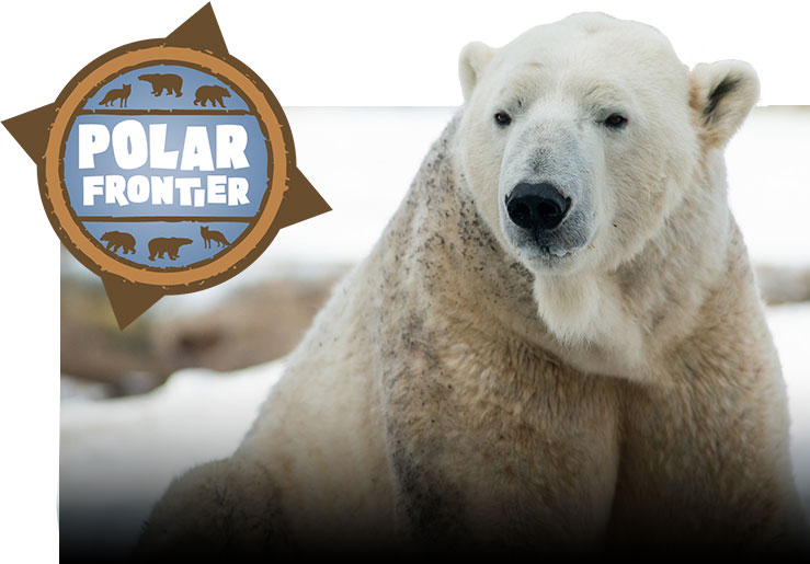 Polar Frontier Sign