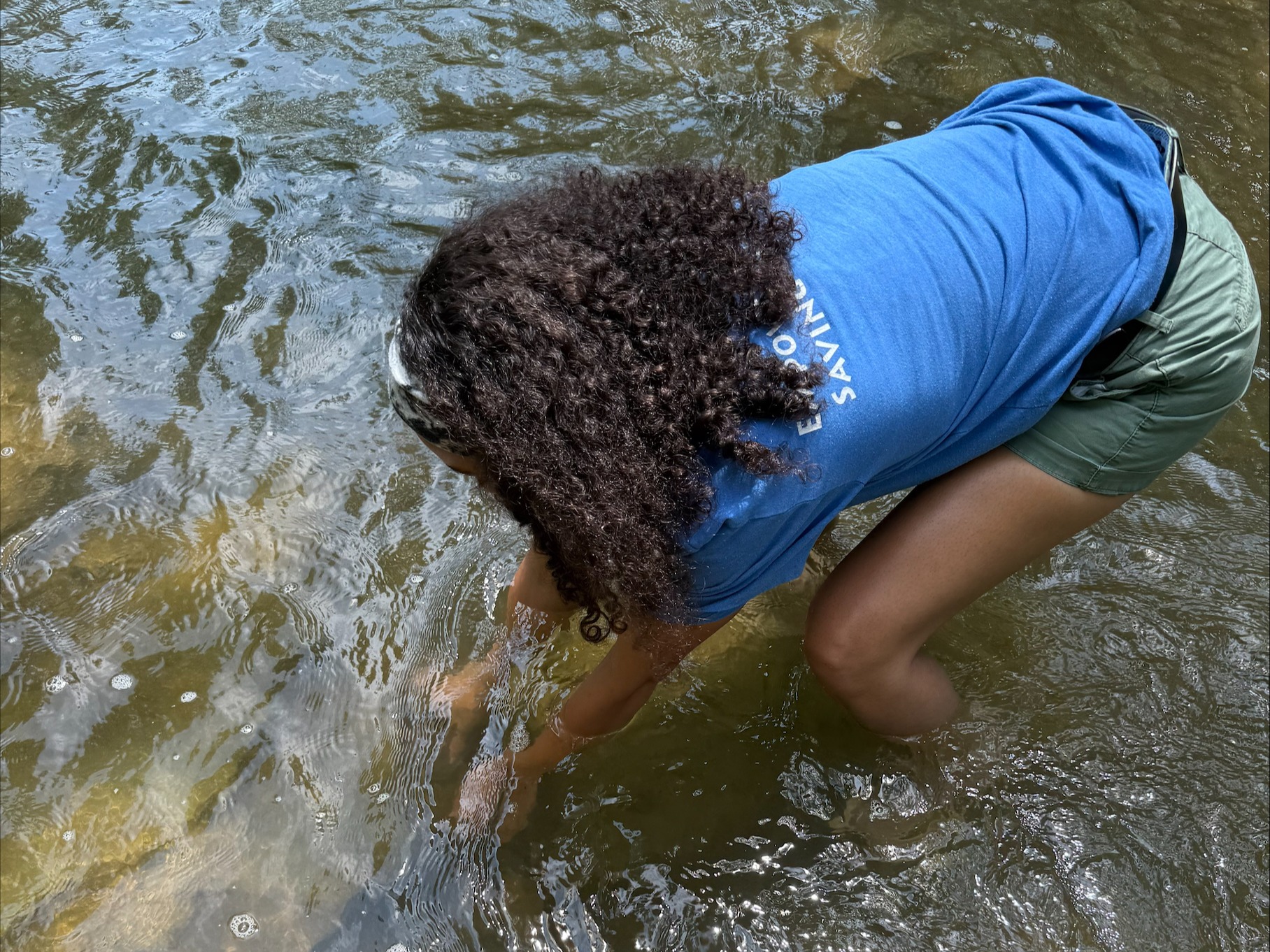 woman placing hellbender in river