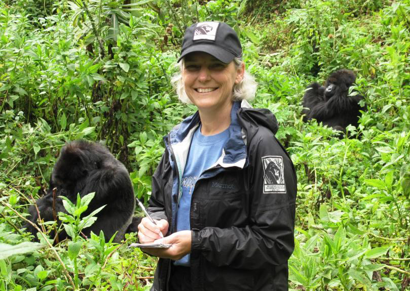 veterinarian with gorillas