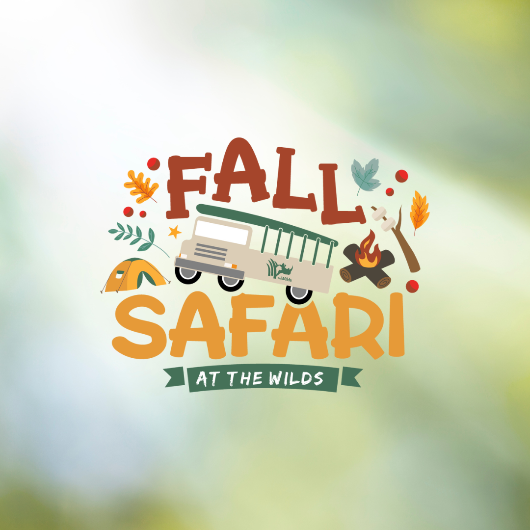 fall safari logo