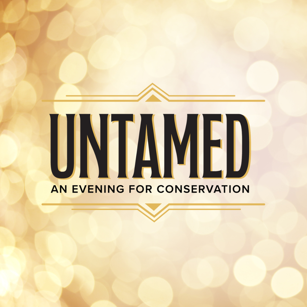 Untamed logo