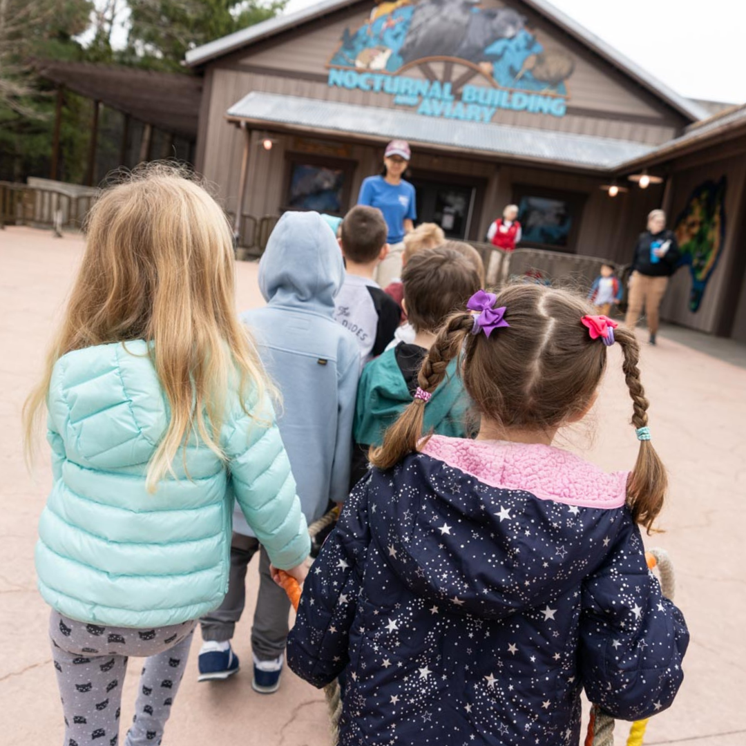 children walking through zoo