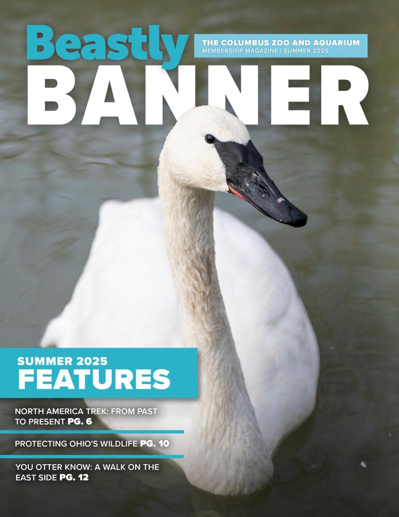 cover of emagazine