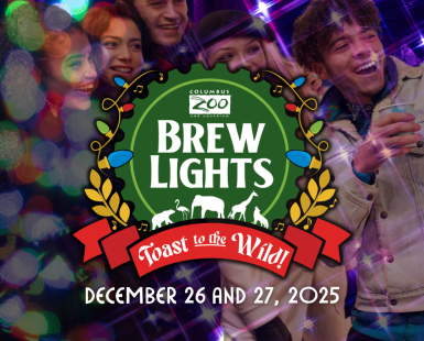 Brewlights logo