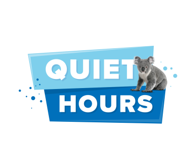 Quiet Hours with a Koala
