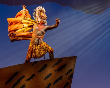 PHOTO CREDIT: Darian Sanders as Simba. The Lion King North American Tour ©Disney. Photo by Deen van Meer.