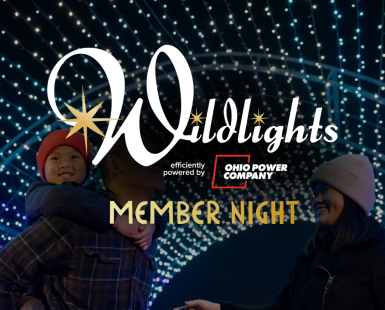 Wildlights logo over family picture
