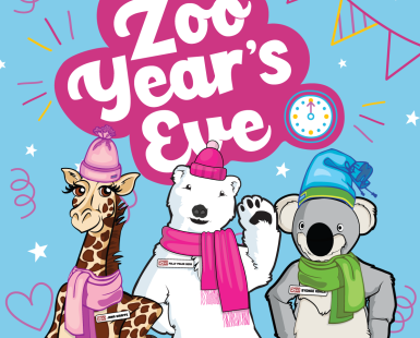 Zoo Year's Eve graphic