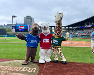 mascots on ball diamond