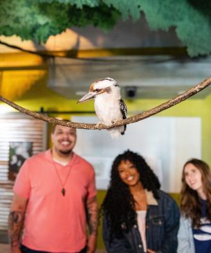 zoo guests looking at bird on perch