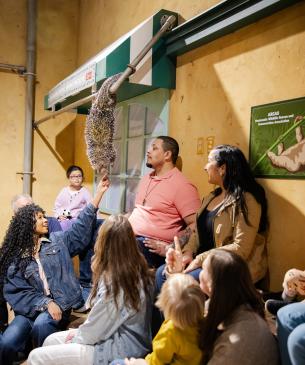 zoo crowd with sloth
