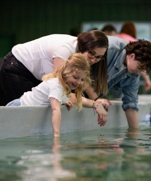 family reaching into pool