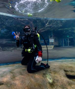 Diver at the Columbus Zoo