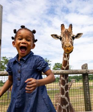 child and giraffe