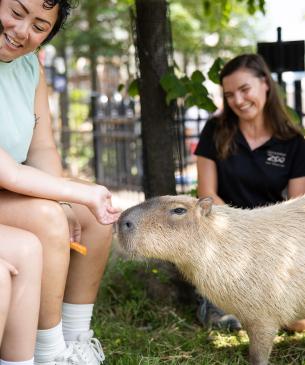 Zoo guests on paid experience at zoo