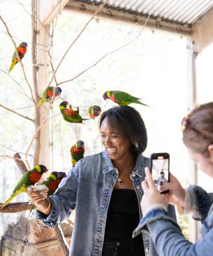 zoo guests interacting with lorikeets
