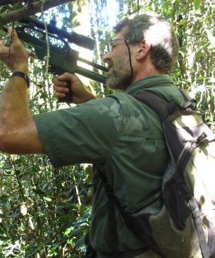 vet darting a lemur