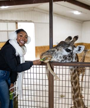 woman feeding giraffe