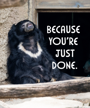 sloth bear with "Because you're just done" embedded
