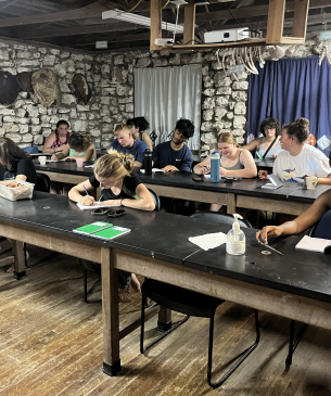 students working at lab