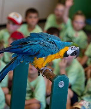 bird in foreground of zoo guests