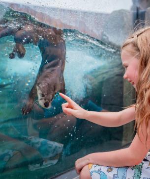 zoo guest and otter