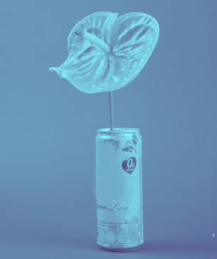 plant in can