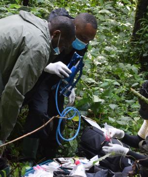 medical staff in forest