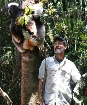 vet with lemur