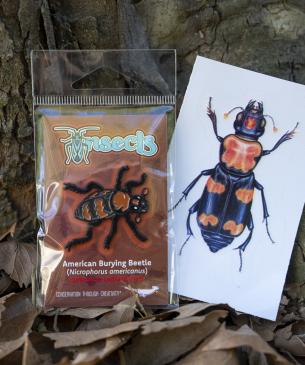 burying beetle sticker