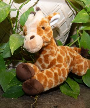 giraffe plush