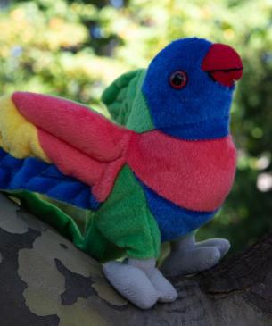 lorikeet plush