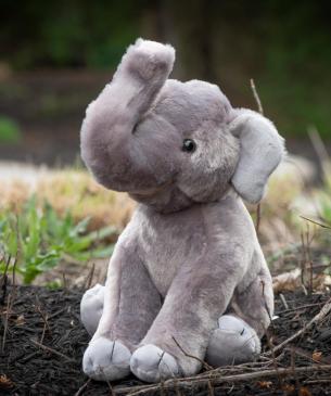 plush elephant