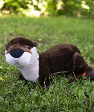 river otter plush