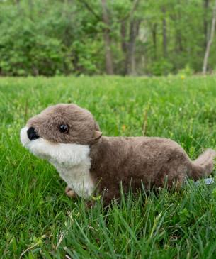 otter plush