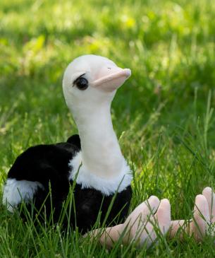 plush ostrich