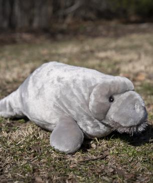 manatee plush