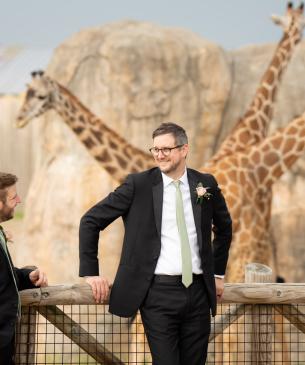 groom with giraffes
